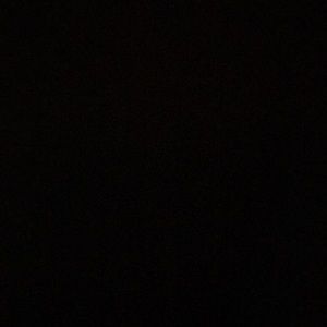 Meet your Posher, Laviya